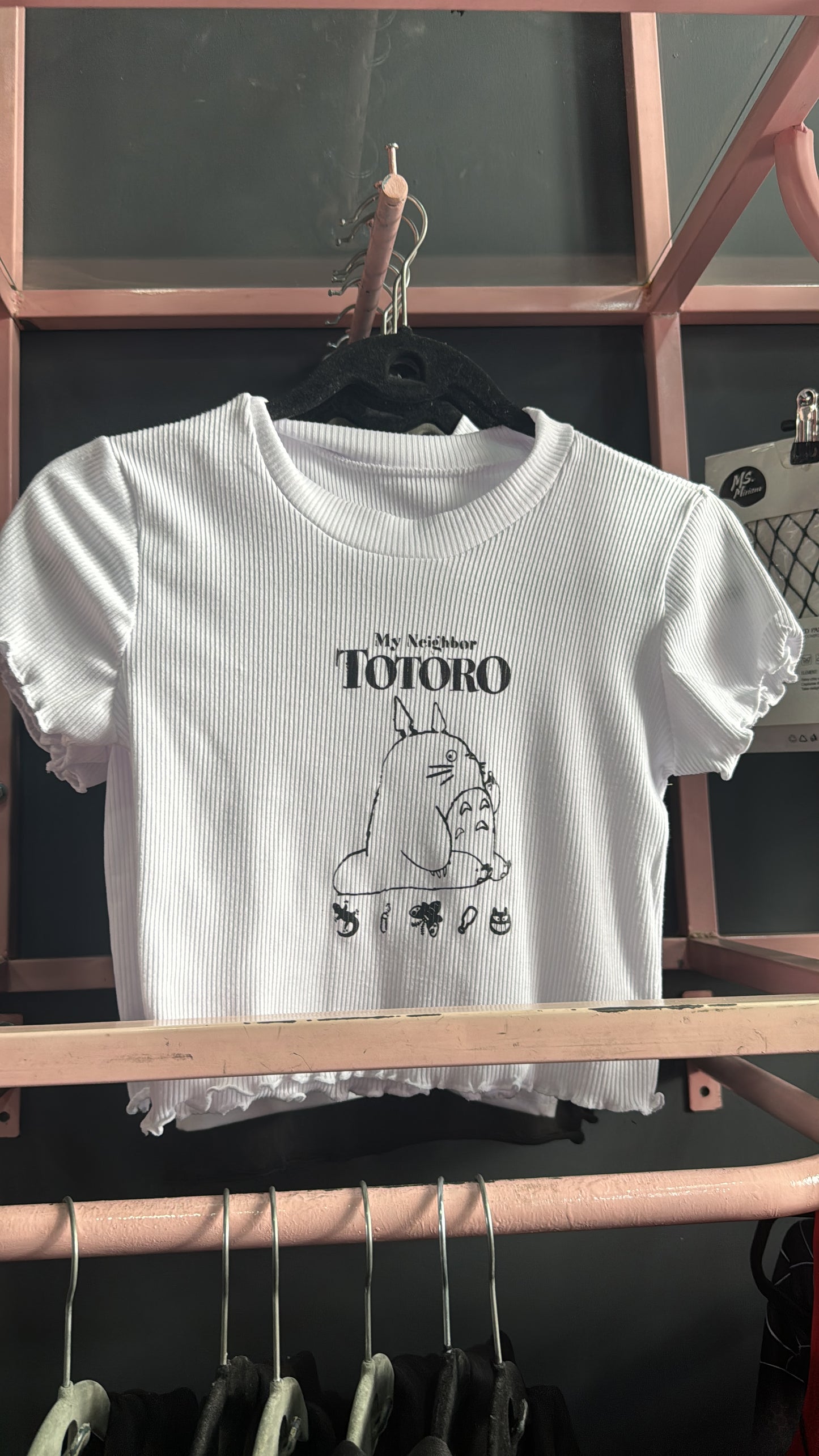 TOP TOTORO