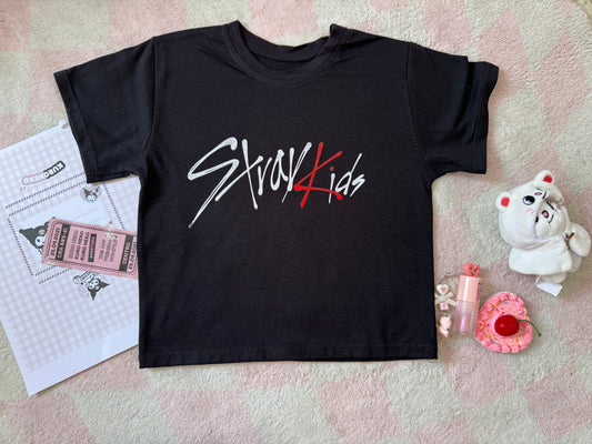 TOP STRAY KIDS INTEGRANTES